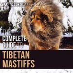 tibetan_mastiff-768x768.jpg
