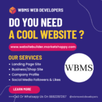 WBMS-Web-Developers-New-DELHI-INDIA-USA-Europe.png