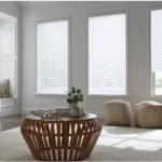 milton-blinds-window-shading-1-2.webp