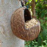 omni-blog-2-fea-img.jpg