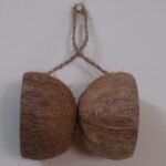 coconut-blog-2-fea-img.jpg