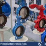 Butterfly-Valves-Market.jpg