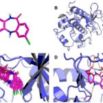 Principles-Processes-and-Types-of-Molecular-Docking-2.jpg