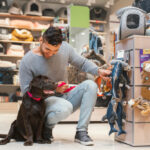 The-Ultimate-Guide-to-Choosing-an-Online-Pet-Store-for-Pet-Supplies.jpg