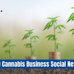 Top-10-Cannabis-Business-Social-Networks-You-Should-Join.jpg