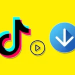 tiktokio.oneHow-to-Use-TikTok-Downloader-to-Instantly-Download-TikTok-Videos-and-Earn-Money-on-the-App.webp