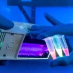 3-2-5-rna-imaging-for-development-of-covid-19-test-kits-wyb-3.jpg
