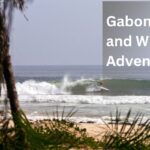 Gabon-Safari-Tours.jpg