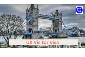 Understanding the UK Visitor Visa: Requirements and Application Process