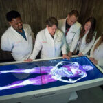anatomy-table-11.jpg