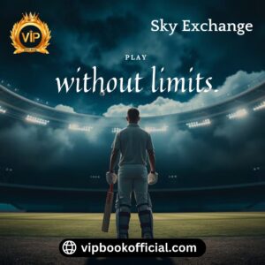 You can earn real money on Sky Exchange fast and easily.