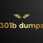 301b-Dumps.png