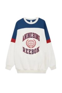 Where to Find the Best Deals on Anine Bing Sweatshirt in the U.S