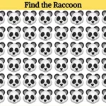 Find-the-raccoon-1.webp