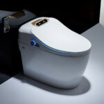 SLTQ9-Smart-Luxury-Toilet-White-Gold-Finished-with-Digital-Display-Remote-Control-Smart-Living-and-Technology-679.jpg