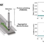 Unraveling-Protein-Stability-with-Differential-Scanning-Fluorimetry-1.jpg