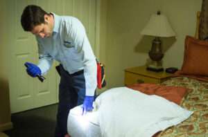 Top Signs You Need a Professional Bed Bug Removal Service