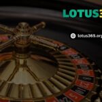 lotus365-8.jpg