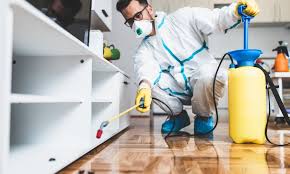 Finding the Right Pest Control Solutions in New York City