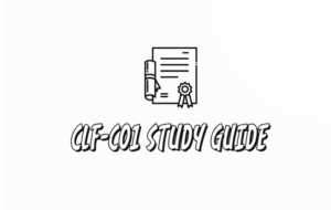 DumpsBoss Ensures Easy Certification with Its CLF-C01 Study Guide.