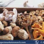 Functional-Mushrooms-Market.jpg