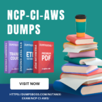 NCP-CI-AWS-Dumps-1.png