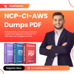 NCP-CI-AWS-Dumps-PDF.png