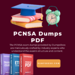 PCNSA-Dumps-PDF.png