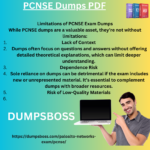 PCNSE-Dumps-PDF.png