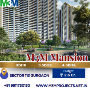 Where Comfort and Style Unite – M3M Mansion