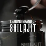 Shilajit.webp