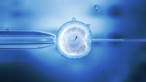 Mini IVF vs. IVF: Which Fertility Treatment Is Right for You?