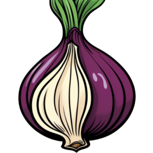 How does the TOR browser work