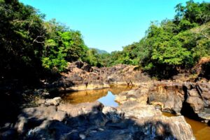 Top Reasons to Visit Bhagwan Mahavir Wildlife Sanctuary in Goa