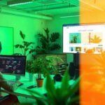 CBD-Web-Design-Company-7.jpg