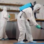 Comprehensive-Guide-to-Pest-Control-Services-in-Wendell-NC.jpg