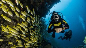 Discover the Wonders of Diving in Mallorca and Cave Diving Adventures