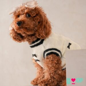 Dog Sweaters for Every Pup – Stylish & Warm Picks by Boof by Bella