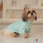 Dog-kurta.jpg