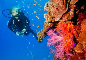 Discover the Thrills of Diving in Mallorca and Cave Diving Adventures