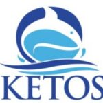 ketos.jpg