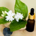 origin-types-of-jasmine-attar-jasmine-essential-oil-810617.jpg