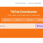 tiktokio.camTiktokio-TiktokDownloader.webp