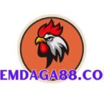xemdaga88.jpg