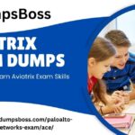 Aviatrix-Exam-Dumps-1.jpg