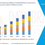 Global-Flight-Management-Systems-FMS-and-Stable-Market.jpg