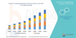 Thrombophilia Market Size Analysis Report, Share, Trends, Growth Opportunities and Competitive Outlook