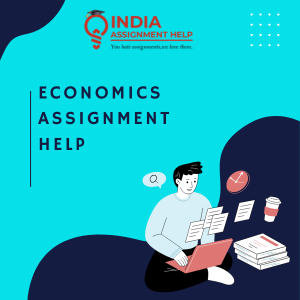 Professional Economics Assignment Help Services