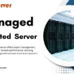 Managed-Dedicated-Server-The-Ultimate-Solution-for-High-Performance-Hosting.jpg