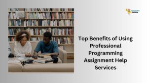 Top Benefits of Using Professional Programming Assignment Help Services